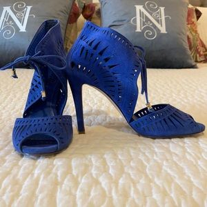Cobalt blue suede shoe